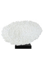 Large coral Acropora Hyacintus mounted on wooden base