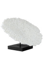 Large coral Acropora Hyacintus mounted on wooden base