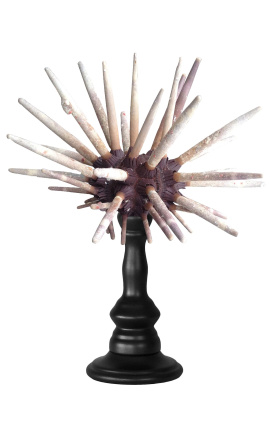 Lápis de urchin em baluster de madeira