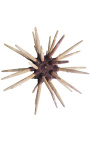 Lápis de urchin em baluster de madeira