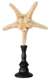 Large starfish "Jungle" on wooden baluster