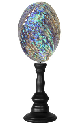 Abalone Paua em baluster de madeira