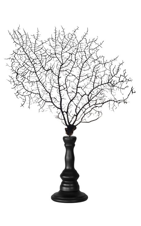 Fekete Gorgonian (korall) egy fa baluster