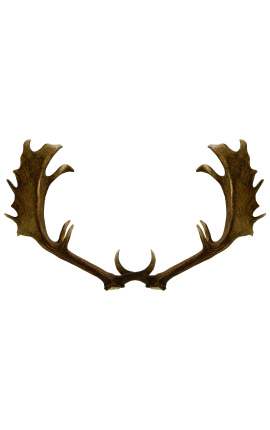 Antler de chifre verdadeiro de veado para decoração de parede