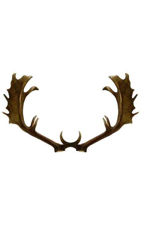 Antler de chifre verdadeiro de veado para decoração de parede