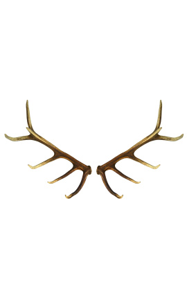 Antler de chifre verdadeiro de veado para decoração de parede