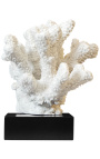 Large coral mounted on a wooden base