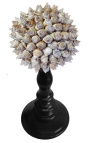 Boule de coquillages gris sur balustre en bois