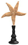 Grand starfish yellow on wooden baluster