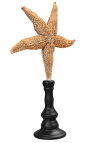 Grand starfish sárga fából készült baluster