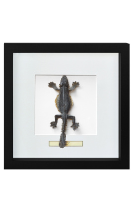 Quadro decorativo com um lagarto "Lisard Sp."