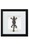 Quadro decorativo com um lagarto "Lisard Sp."