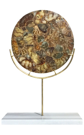 Gran disc decoratiu marró amb ammonites en un estand d'or i marbre blanc