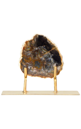 Fossilisiertes Holz auf einem Gold-Metall-Ständer Modell 3