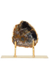 Fossilized wood on a gold metal stand Model 3