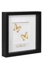 Decoratief frame met twee vlinders "Cyrestis Camillus"