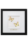 Dekoratívny rám s dvoma motýľmi "Cyrestis Camillus"