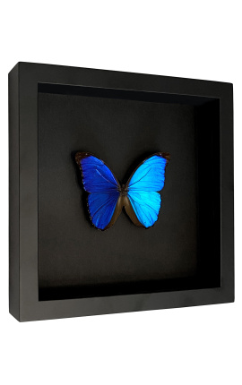 Cadru decorativ pe fundal negru cu fluture &quot;Morpho Menelaus&quot;