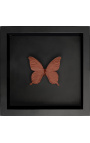 Quadro decorativo em fundo preto com cor de cobre "Papilio Blumei" borboleta