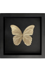 Telaio decorativo su fondo nero con color oro "Morpho Didius" farfalla