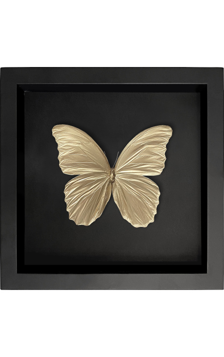 Quadro decorativo em fundo preto com cor dourada "Morpho Didius" borboleta