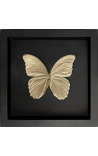 Decoratief frame op zwarte achtergrond met goudkleurig "Morpho Didius" vlinder