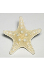 Starfish sota globus de vidre