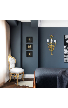 Telaio decorativo su fondo nero con color oro &quot;Morpho Didius&quot; farfalla