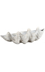 Tricdana blanca Clamshell - Mida L