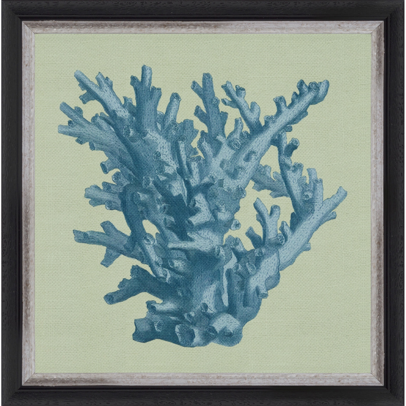 Blue Coral Vintage + art