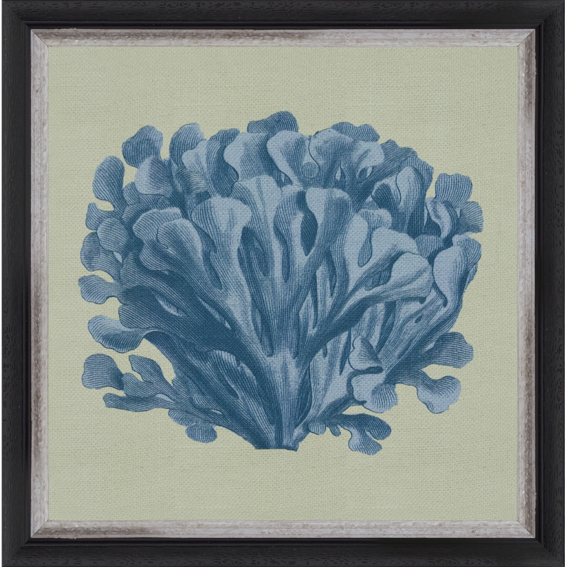 Blue Coral Vintage + art