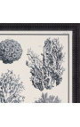 Melna un balta koraļu gravēšana ar melnu rāmju - 55 x 45 cm - 3. modelis