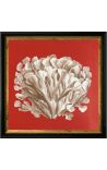 Square engraving of a coral with black and golden frame 30 x 30 - Model 1