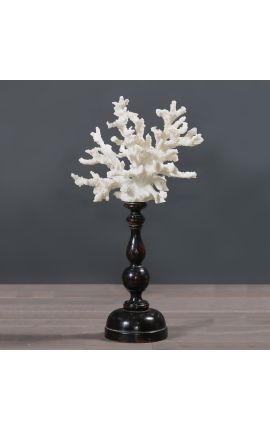 Coral muntat en pedestal de fusta