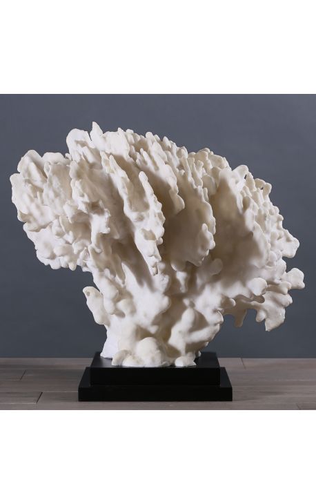 Coral Stylophora Pistillata gigante bianco montato su base di legno