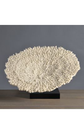 Large coral Acropora Hyacintus mounted on wooden base