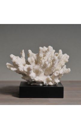 Koralen op een houten basis "Acropora Florida" - Model 1