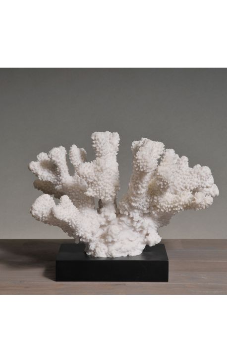 Large coral mounted on a wooden base