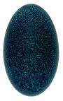 Emu's egg on a wooden black baluster stand