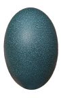 Emu's egg on a wooden black baluster stand