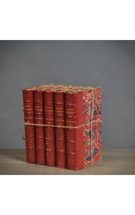 Conjunto de 5 antiguos libros rojos del siglo XIX