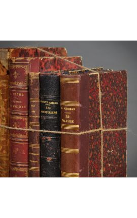 Ensemble de 5 livres anciens assortis XIXème siècle - Lot 1