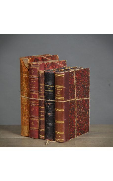 Set of 5 old books with 19th century - Set 1