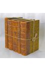 Set of 5 old brown books 19th century