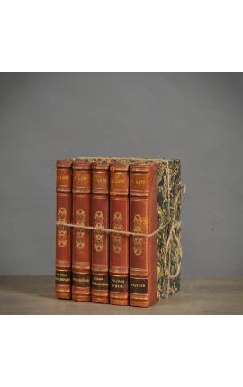 Набор из 5 старых коричневых книг 19 века