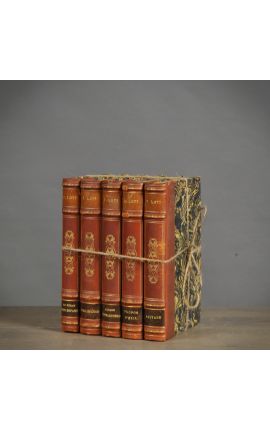 Set of 5 old brown books 19th century