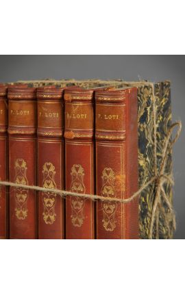 Set of 5 old brown books 19th century