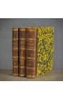 Set of 3 brown red books 19th century