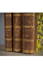 Set of 3 brown red books 19th century