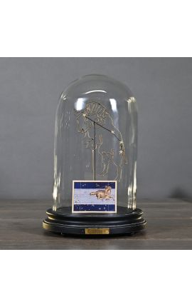 Globe au Zodiaque (Bélier) en verre sur support en bois 